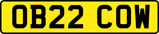 OB22COW