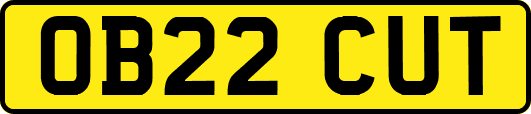 OB22CUT