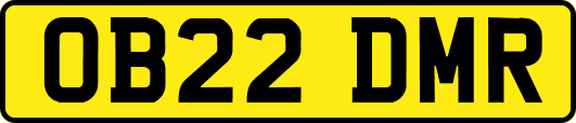 OB22DMR