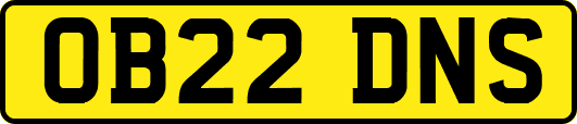 OB22DNS