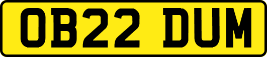 OB22DUM