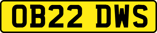 OB22DWS