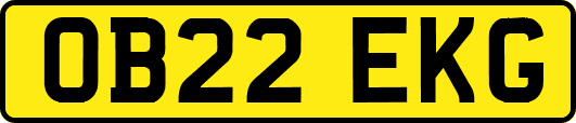 OB22EKG