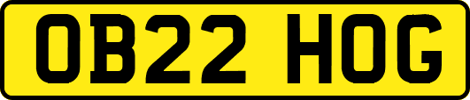OB22HOG