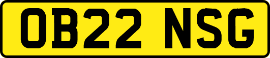 OB22NSG
