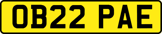 OB22PAE