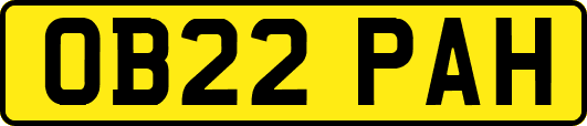 OB22PAH