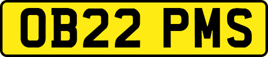 OB22PMS
