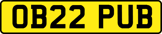 OB22PUB