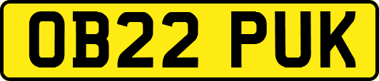 OB22PUK