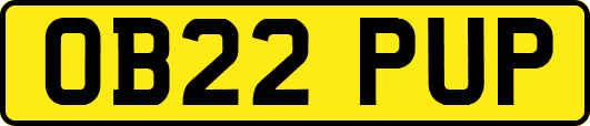 OB22PUP