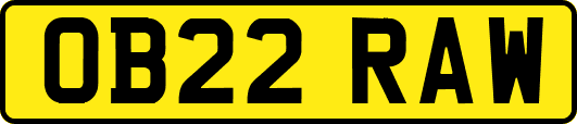 OB22RAW