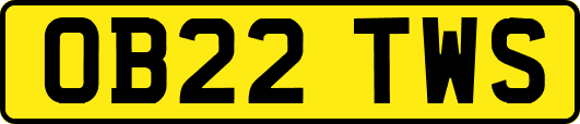 OB22TWS