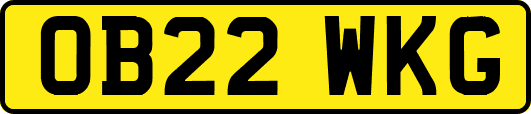 OB22WKG