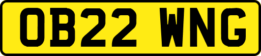 OB22WNG