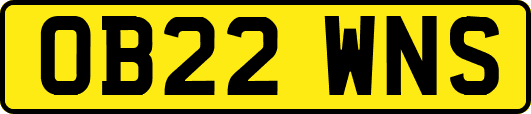 OB22WNS