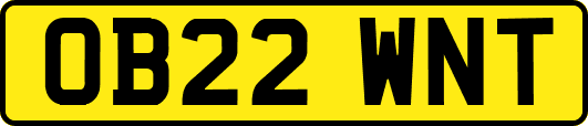 OB22WNT