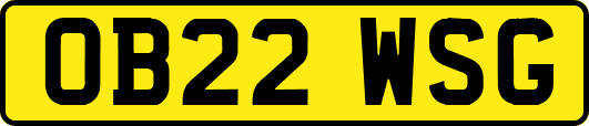 OB22WSG