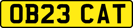 OB23CAT