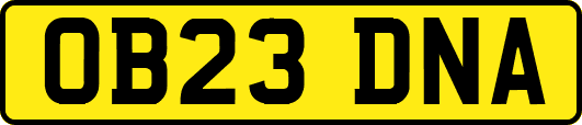 OB23DNA