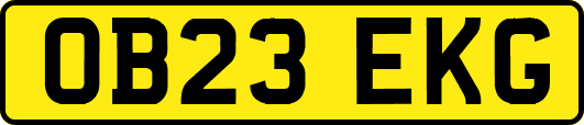 OB23EKG
