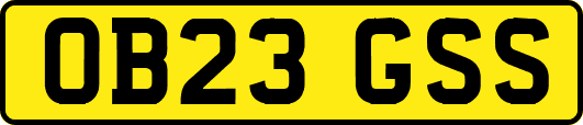 OB23GSS