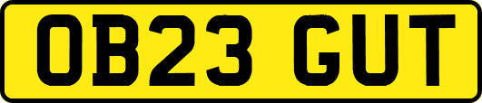 OB23GUT