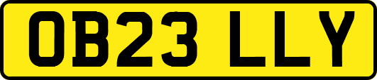 OB23LLY