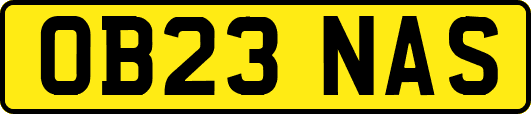 OB23NAS