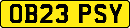 OB23PSY