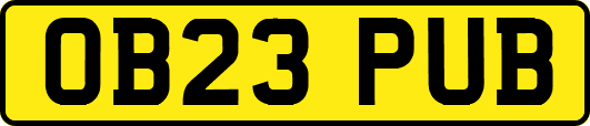OB23PUB