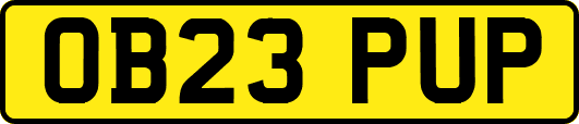 OB23PUP