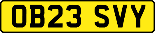 OB23SVY