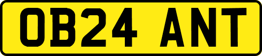 OB24ANT