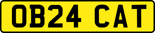 OB24CAT