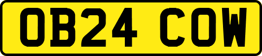 OB24COW