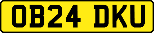 OB24DKU