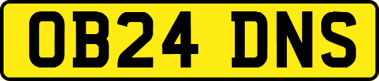 OB24DNS