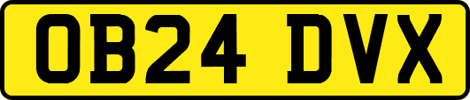 OB24DVX