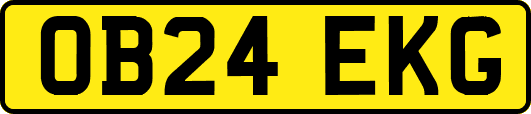 OB24EKG