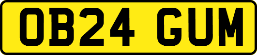 OB24GUM