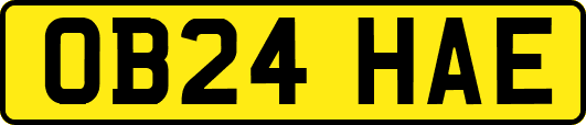OB24HAE