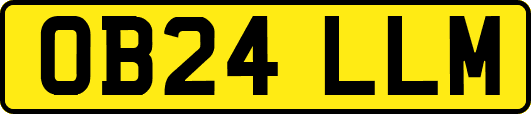 OB24LLM