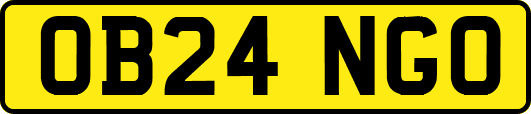 OB24NGO