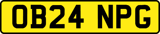 OB24NPG
