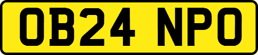 OB24NPO