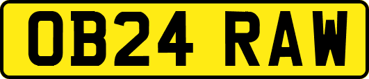 OB24RAW