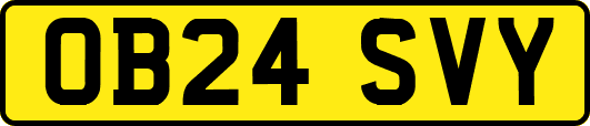 OB24SVY