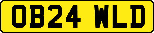 OB24WLD