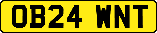 OB24WNT